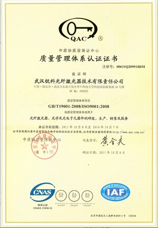raycus сертификат1